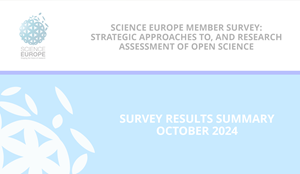 Faded cover of a slide deck entitled 'Survey Results Summary October 2024'